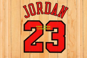 【搜狐体育首页官网】泪洒赛场，深情永驻，一位老将的最后告别