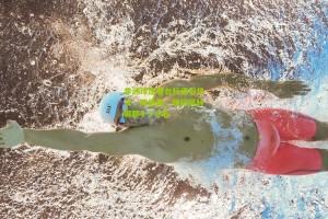 搜狐体育官方-非洲球迷看台标语引热议，姆伯莫，跟阿莫林聊聊4-3-3吧