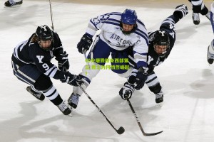 【搜狐体育】40分屠戮跻身西部第三 爵士为何悄然崛起？