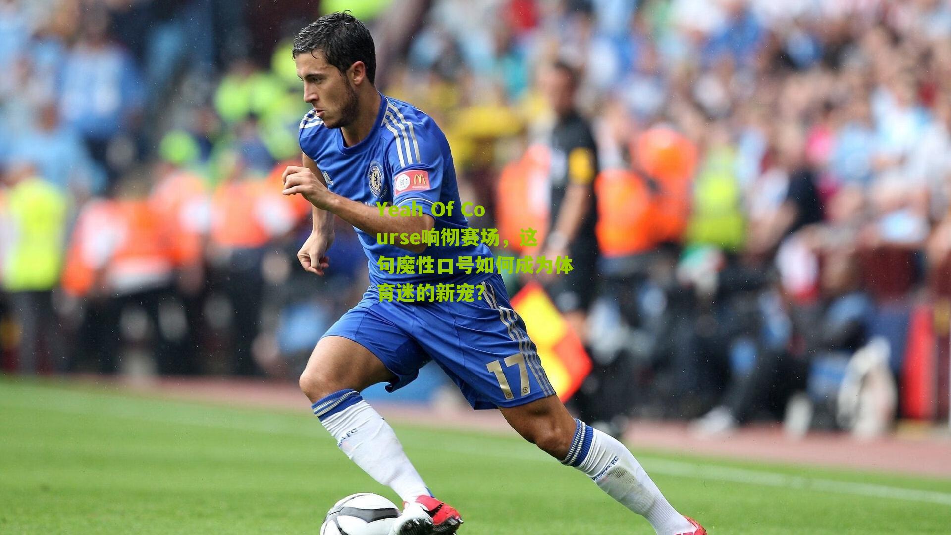 Yeah Of Course响彻赛场,这句魔性口号如何成为体育迷的新宠?